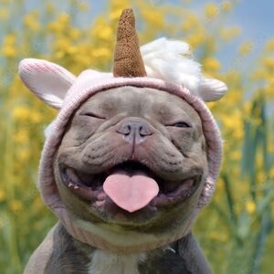 ❌️RESERVED❌️ ♡Mystery Gift♡